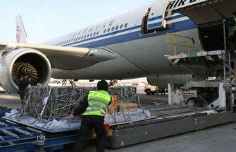 航空运输公司提供更好、更快捷的货运派送服务