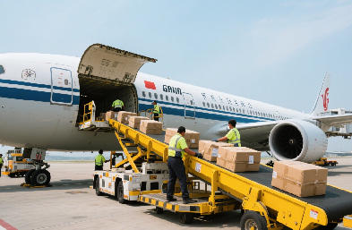 依托上海浦东 / 虹桥机场，国际空运门到门，时效不等人